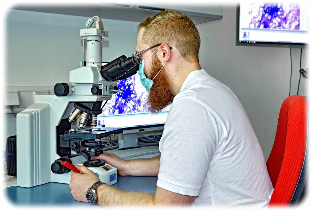 Analyse eines Knochenmarkausstrichs unter dem Mikroskop. Künftig soll ein KI-basiertes Computersystem bei der Erstdiagnose einer akuten myeloischen Leukämie (AML) unterstützen. Foto: Thomas Albrecht für das Uniklinikum Dresden