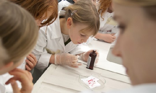 Auch im "Gläsernen Labor" im Deutschen Hygiene-Museum konnten die Juniordoktoren in spe forschen. Foto: Thomas Scheufler