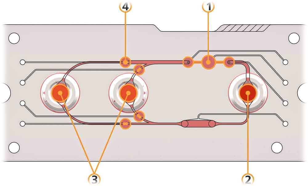 Auf dem Multiorgan-Chip simulieren mehrere technische Komponenten das Zusammenspiel von Blutkreislauf und Organen im menschlichen Körper. Dazu gehören eine Pumpe (1), eine Speicherkammer für Blut und Wirkstoff (2), Kammern für Organe und Gewebe (3) sowie Ventile (4), die den unterschiedlich starken Blutzufluss zu verschiedenen Organen nachbilden. Grafik_ Fraunhofer IWS Dresden