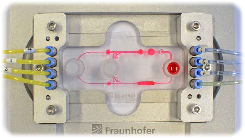 Multiorgan-Chip mit Pumpen und Ventilen (kleine rote Punkte) sowie den Kammern für Organe, Gewebe, Blut und Wirkstoffe. Foto: Fraunhofer IWS Dresden