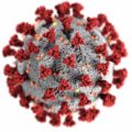 Forscher am US-Seuchenkontrollzentrum CDC haben dieses 3D-Modell des neuen Corona-Virus (2019nCoV) entworfen, das eine schwere Lungenkrankheit auslösen kann. Die Angst vor dem Krankheitserreger lähmt mittlerweile weltweit das öffentliche Leben, die Wirtschaft, den Tourismus, selbst die Forschung in vielen Ländern. Illustration: CDC/ Alissa Eckert, MS; Dan Higgins, MAMS, Lizenz: Public Domain, https://phil.cdc.gov/Details.aspx?pid=23312 / Wikipedia https://commons.wikimedia.org/wiki/File:2019-nCoV-CDC-23312.png