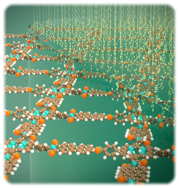 Die Visualisierung zeigt, wie sich kurze organische Moleküle zu einem großen 2D-Polymer während der Grenzflächen-Synthese vernetzen. Visualisierung: Marc Hermann, Tricklabor