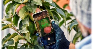 Im Projekt AI-DISCO entwickelt das Fraunhofer IPMS Demonstratoren wie z.B. ein miniaturisiertes, KI-gestütztes Nahinfrarot-Spektrometer zur Reifegradbestimmung von Obst. Foto: Fraunhofer-IPMS