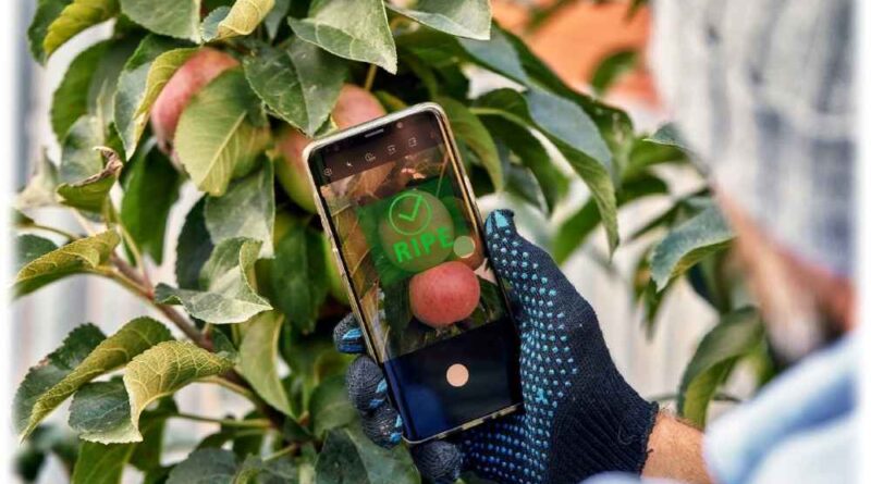 Im Projekt AI-DISCO entwickelt das Fraunhofer IPMS Demonstratoren wie z.B. ein miniaturisiertes, KI-gestütztes Nahinfrarot-Spektrometer zur Reifegradbestimmung von Obst. Foto: Fraunhofer-IPMS