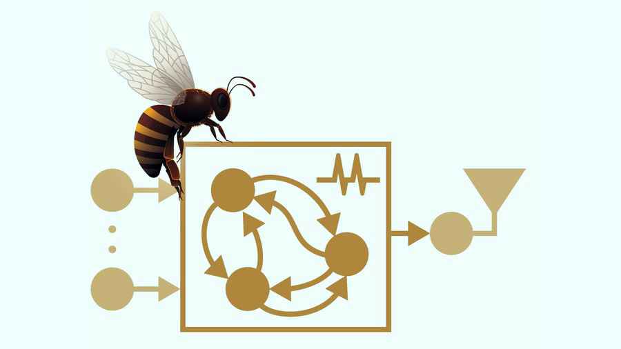 Bienen brauchen viel weniger Energie für die Verarbeitung ihrer Umweltreize als digitale Systeme. Grafik: Filippo Gander via TUD