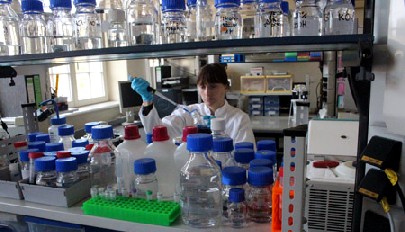 Dr. Maja Böhme bereitet im Biotype-Labor Markeirungsstoffe vor, mit denen später Zellen eingefärbt werden, um sie zu mikroskopieren. Foto: Heiko Weckbrodt
