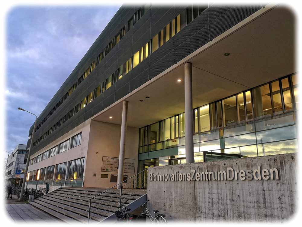 Das Bio-Innovationszentrum Bioz 1 am Tatzberg in Dresden-Johannstadt. Foto: Heiko Weckbrodt