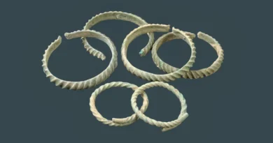 Zum Bronzezeit-Depot gehören zwei Armringe (Vordergrund) und vier Beinringe. Foto: Landesamt für Archäologie Sachsen