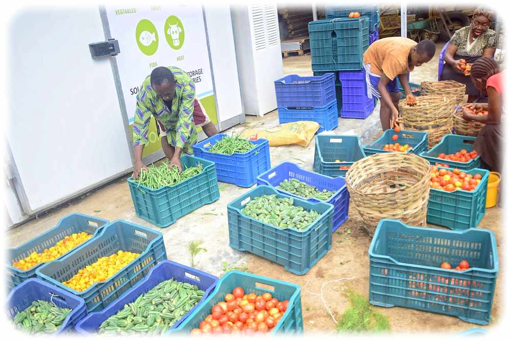 Das Konzept der Coldhubs: Die nigerianischen Landwirte zahlen eine tägliche Pauschalgebühr pro Kiste verderblicher Produkte, die in den Kühlräumen von Kühlhäusern gelagert werden. Dadurch soll sich die Frische von Obst und Gemüse von zwei auf 21 Tage verlängern. Dieses Geschäftsmodell wird innerhalb eines Jahres nach dem Betrieb selbsttragend, versichern die Projektpartner. Foto: ILK Dresden