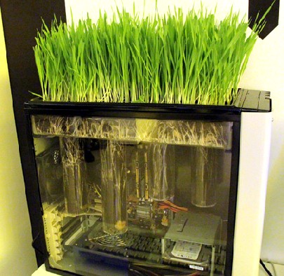 Die Abwärme des Bio-PCs beheizt einen Rasen. Foto: Heiko Weckbrodt