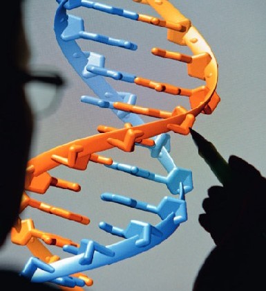 Dresdner Forscher lernen von der Natur: DNA-Befehle dienen ihnen als Baupläne für selbstkonstruierende Elektronik. Visualisierung: cfaed/ TUD