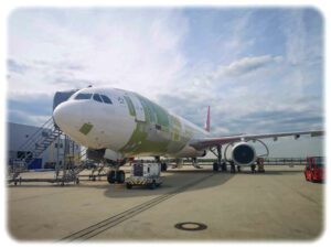 Diesen Airbus neben dem Rollfeld des Dresdner Flughafens haben die EFW-Mitarbeiter inzwischen zum Frachter umgebaut. Foto: Heiko Weckbrodt