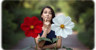 Wie gelangen Menschen zu Entscheidungen? Visualisierung: KI Grok, Prompt: Heiko Weckbrodt