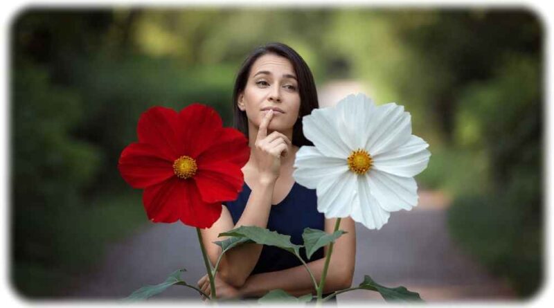 Wie gelangen Menschen zu Entscheidungen? Visualisierung: KI Grok, Prompt: Heiko Weckbrodt