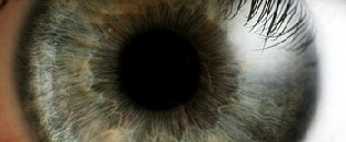 Emfindlich: Das menschliche Auge. Foto: che, Wikipedia, CC-2.5-Lizenz