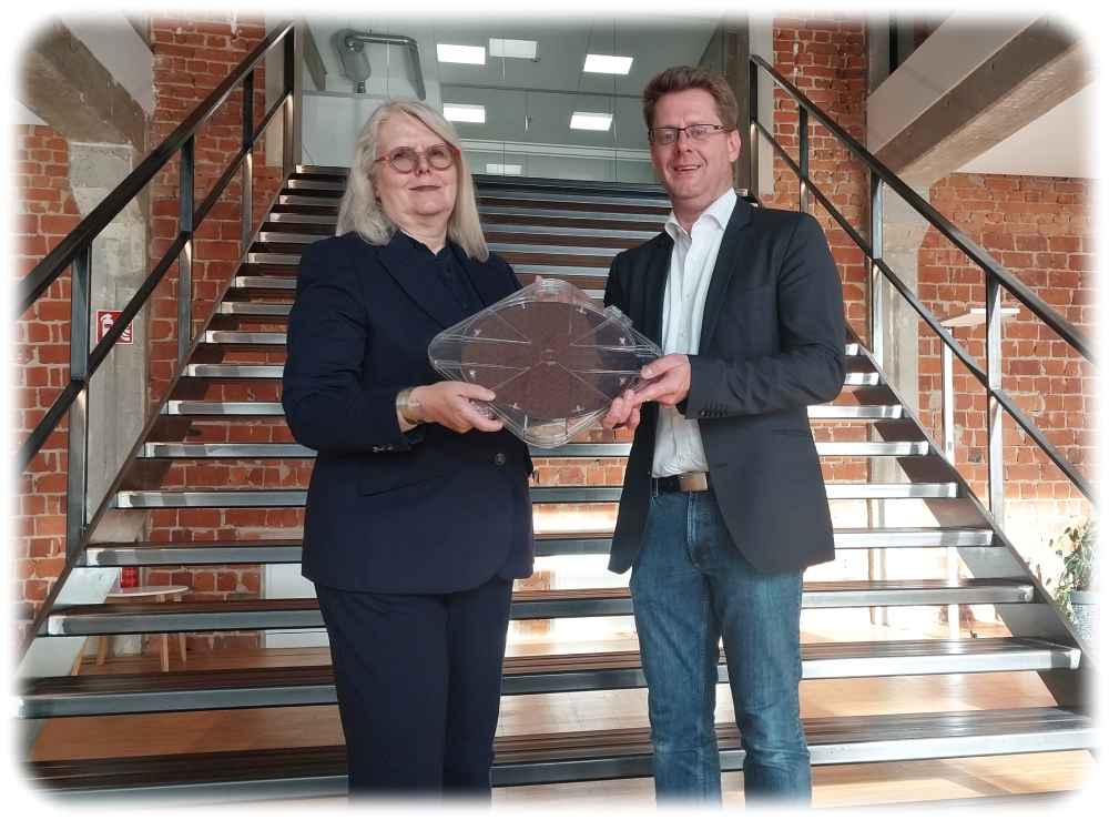 Sabine Kolodinski und Guido Überreiter zeigen im FMC-Hauptsitz in Dresden einen Wafer mit den neuen merkfähigen Speicherchips. Foto: Heiko Weckbrodt