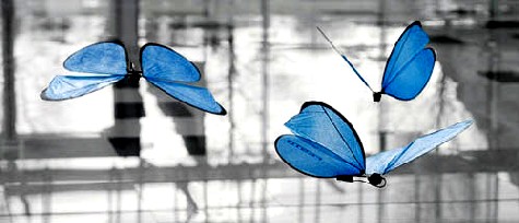 Die Bionischen Schmetterlinge orientieren sich beim Flug mit Indor-GPS und Bildverarbeitung. Foto: Festo