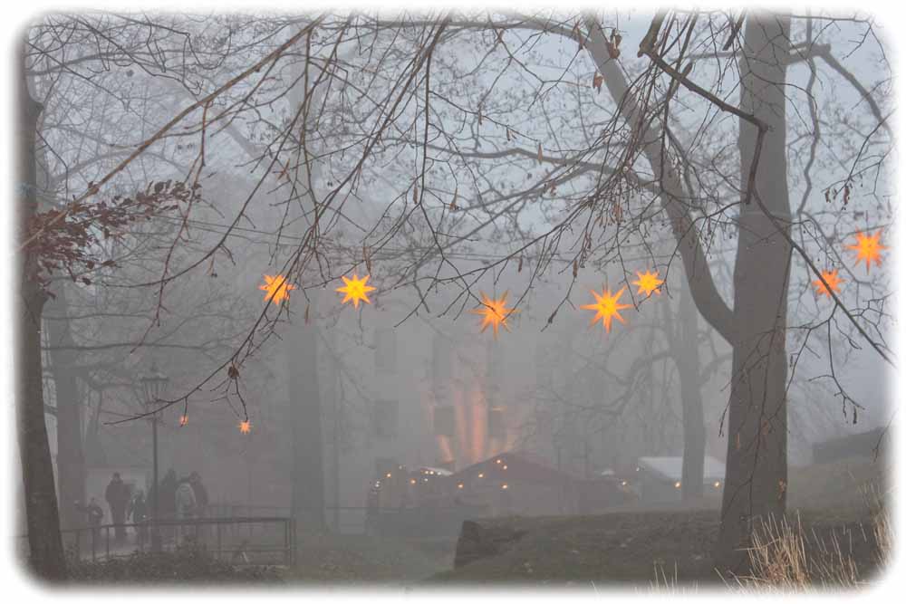 Der Festungswald ist in ein weihnachtliches Ambiente gehüllt. Foto: Peter Weckbrodt