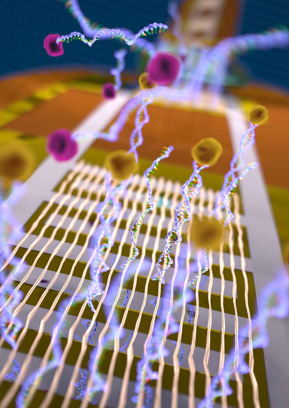 Auch daran forschen die cfaed-Experten: Beweglicher DNA-Nanosensor aus Silizium-Nanoröhrchen.Visualisierung: Daniil Karnaushenko