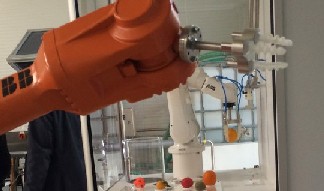 Roboter mit Kunststoff- statt Stahlgreifern könnten Obst sortieren, ohne Druckstellen zu hinterlassen. Foto: Heiko Weckbrodt