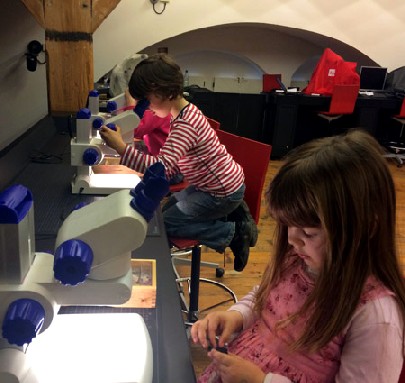 Im Labor können Kinder die Mineralien unter dem Mikroskop betrachten. Foto: Heiko Weckbrodt