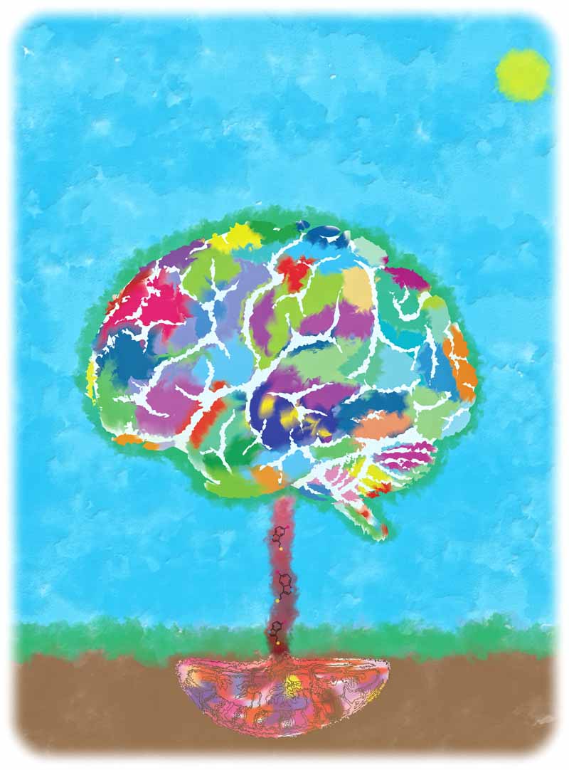 Das Sinnbild zeigt die Plazenta im Boden, die den Gehirn-Baum mit Serotonin versorgt und dem Gehirn so beim Wachstum hilft. Grafik: Lei Xing et al., Neuron 2020 / MPI-CBG