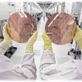 Zwei Mitarbeiter beäugen Chipscheiben (Wafer) im Reinraum der Globalfoundries-Chipfabrik Dresden. Foto: Globalfoundries