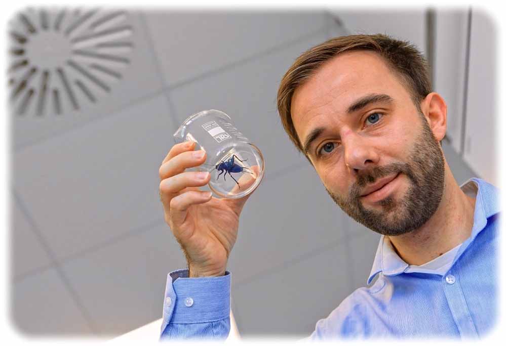 Gefangen! Biologe Dr. Stefan Schöneich von der Uni Leipzig hat die betrügerische Grille im Glas. Foto: Swen Reichhold/ Universität Leipzig