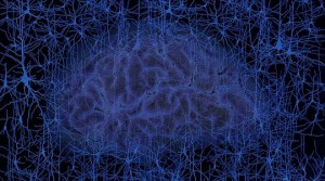 Superrechner "Juqueen" hilt beim "Human Brain Project", das menschliche Gehirn funktional zu simulieren. Abb.: HBP / Defilipe Spain