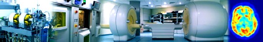 Für die Krebsforschung stehen im Rossendorfer Forschungszentrum hochmoderne bildgebende Verfahren zur Verfügung. Abb.: HZDR