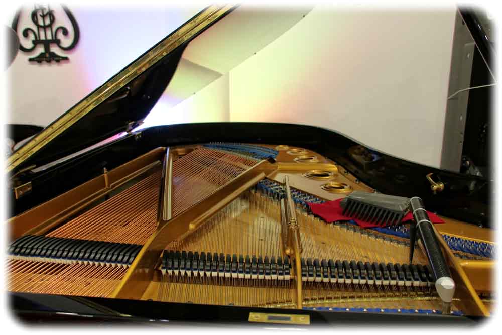 Besonders den alten Instrumenten widmen sich dei Handwerker im Pianosalon Kirsten in Dresden. Foto: Heiko Weckbrodt