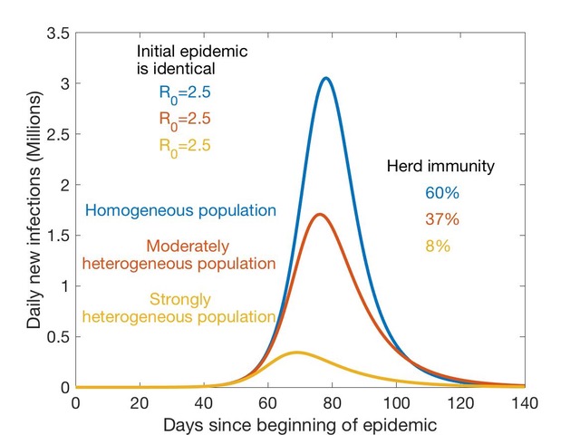 Einfluss der Heterogenität einer Bevölkerung auf die Herdenimmunität: Die Kurven geben jeweils den Verlauf der Infektionszahlen bei einer Epidemie ohne Maßnahmen zur Eindämmung wieder. Grafik: Neipel et al., 2020, MPI-PKS
