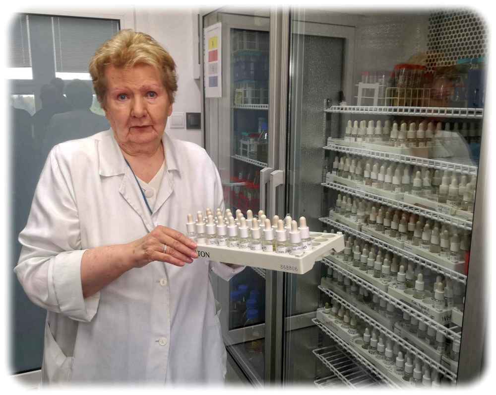 Dr. Beata Weber-Dąbrowska zeigt Proben aus einer der weltweit größten Phagen-Sammlungen am Hirszfeld-Institut für Immunologie Breslau. Foto: Heiko Weckbrodt