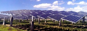 Die Führung in Peking will vor allem in der Inneren Mongolai neue Solarkraftwerke bauen lassen. Hier eine fpür 300 Megawatt projektierte Anlage bei Hohot im Norden Chinas. Foto: SEMI