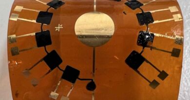 PEDOT:sGAGh (schwarz) als Sensoreinheiten auf einem flexiblen Trägermaterial. Foto: Ivan Minev für das IPF-DD