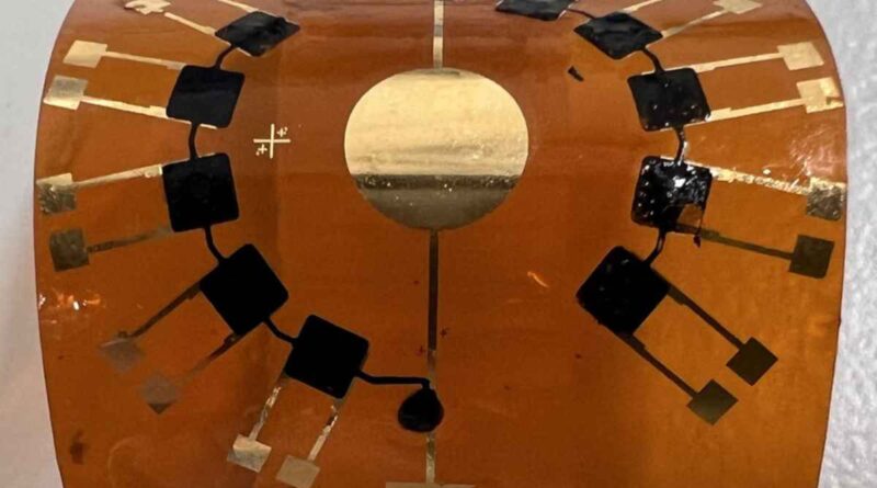 PEDOT:sGAGh (schwarz) als Sensoreinheiten auf einem flexiblen Trägermaterial. Foto: Ivan Minev für das IPF-DD