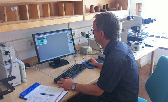 Ingenieur Björn Weiß identifiziert im IHD-Labor eine Holzprobe. "Jede Holzart hat so etwas wie einen individuellen Fingerabdruck", sagt er. Abb.: hw