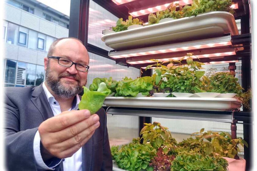 Prof. Michael Stelter vom Fraunhofer-Keramikinstitut IKTS kredenzt in Dresden frische Salate aus einem Prototypen künftiger vollautomatischer Gemüse-Fabriken im städtischen Raum. Foto: Heiko Weckbrodt