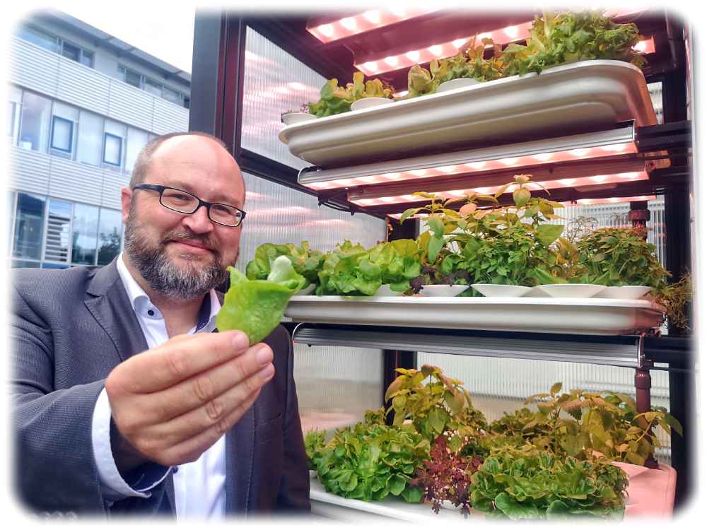Prof. Michael Stelter vom Fraunhofer-Keramikinstitut IKTS kredenzt in Dresden frische Salate aus einem Prototypen künftiger vollautomatischer Gemüse-Fabriken im städtischen Raum. Foto: Heiko Weckbrodt
