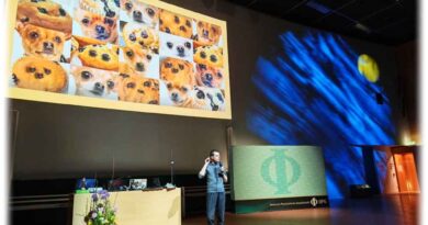 Manuel Zahn von der Uni Augsburg erklärt mit Keksen, Hundefotos, Prinzessinnen und einem Hammer, wie er auf der Suche nach den magnetbasierten Computersystemen von übermorgen winzige Skyrmionen - eine Art Magnetwellenwirbel -untersucht. Foto: Heiko Weckbrodt