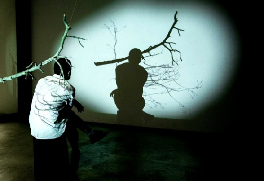 Mit der Installation "Ichi-Kousatsu" will uns der 25-jährige Alexander Pospischill aus Weimar animieren, in der Hektik des Alltags inne zu halten. Setzt sich der Besucher ganz ruhig in den Raum, treiben aus dem Schattenbaum Zweige - die sofort verdorren, wenn sich jemand bewegt. Foto: Michael Kugler