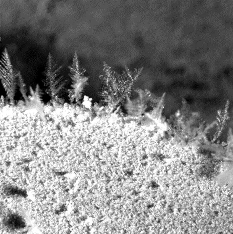 Raureifbildung auf einer Oberfläche unter dem Mikroskop betrachtet. Foto. EISAB