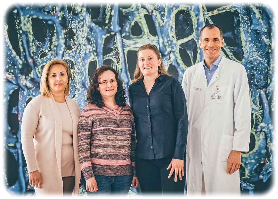 Das Knochenzucker-Team (von links nach rechts): Prof. Maria Teresa Pisabarro, Dr. Gloria Ruiz Gómez, Dr. Juliane Salbach-Hirsch und Prof. Lorenz Hofbauer. Foto: Magdalena Gonciarz für die TUD