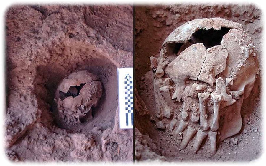 Vor 9000 Jahren geköpft: Die Abbildung zeigt die Form der Bestattungsgrube (links) und die Anordnung der Hände vor dem Gesicht (rechts). Foto: André Strauss, MPI-EVA