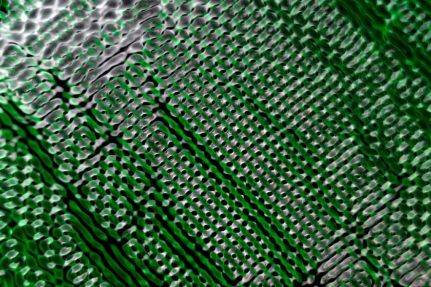 Kymatisch visualisierte Gravitationswellen-Muster. Repro: Alexander Hamilton, Distil Ennui Studio, http://distilennui.com/