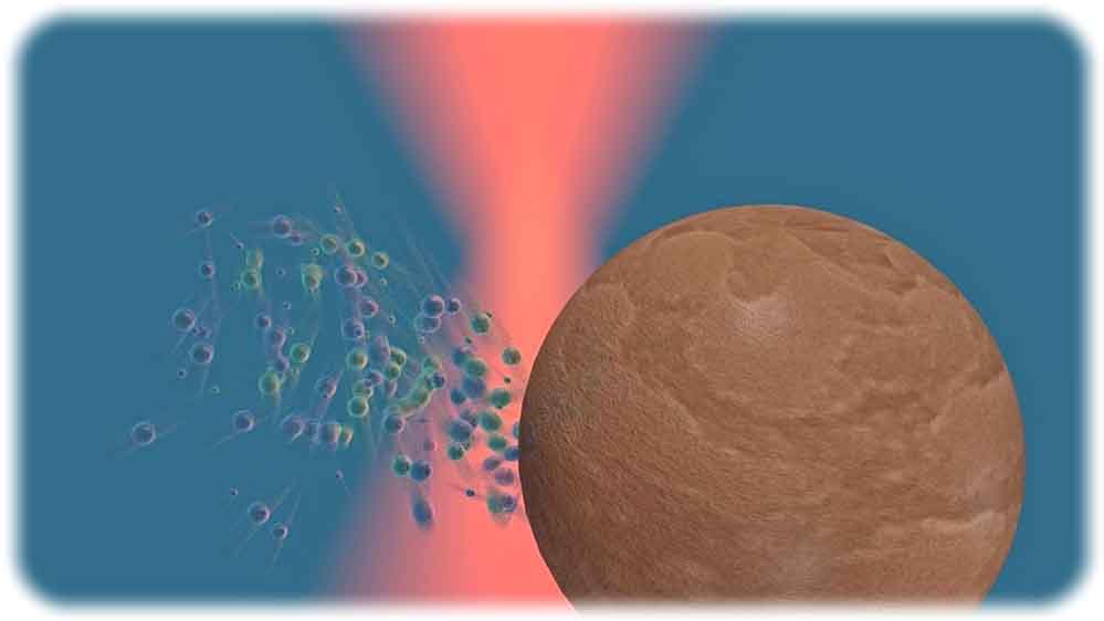 Die Illustration veranschaulicht, wie ein Laser das Partikel in einer Flüssigkeit zum Rotieren bringt. Visualisierung: Falko Schmidt / Universität Leipzig