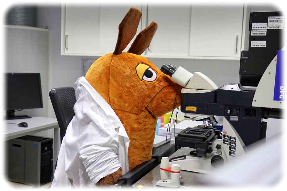 Die Maus in Wissenschafts-Action: Auch das Zentrum für für Regenerative Therapien (CRTD) öffnet am 3. Oktober seine Labortüren für neugierige Mäuse. Foto: CRTD