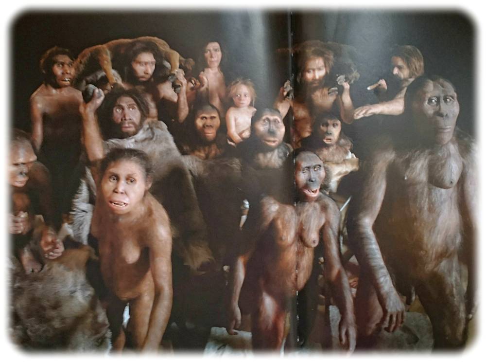 Rekonstruktion verschiedener Hominiden. Repro (hw) aus: "Homo Sapiens Der große Atlas der Menschheit" / wbg