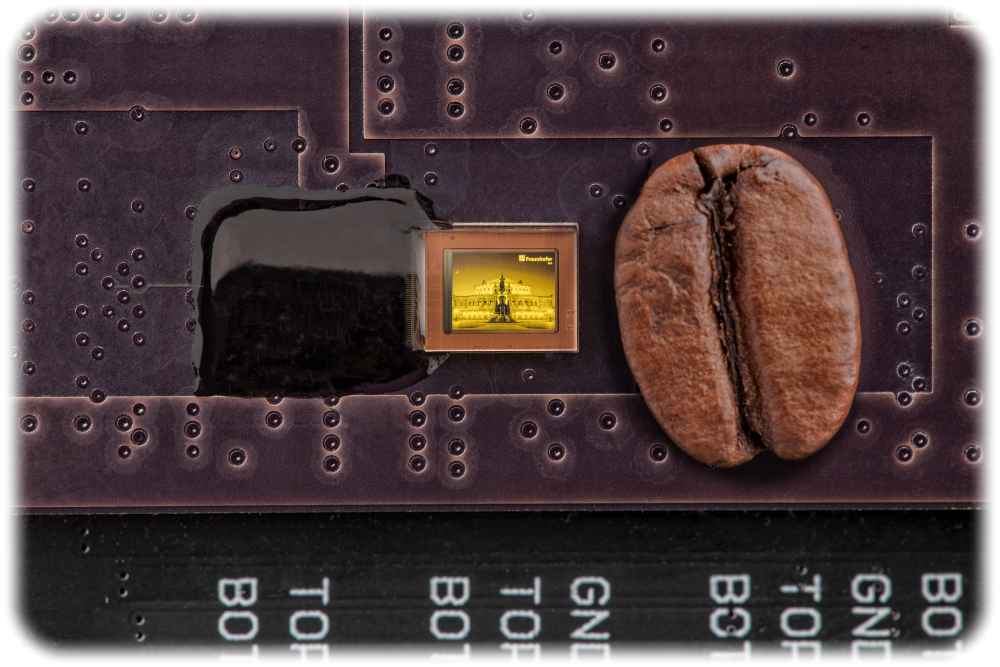 Mikrodisplay aus organischen Leuchtdioden (Oled) mit Ansteuer-Leiterplatte ("Backplane") und einer Kaffeebohne für den Größenvergleich. Abb.: Claudia Jacquemin via Fraunhofer-FEP Dresden