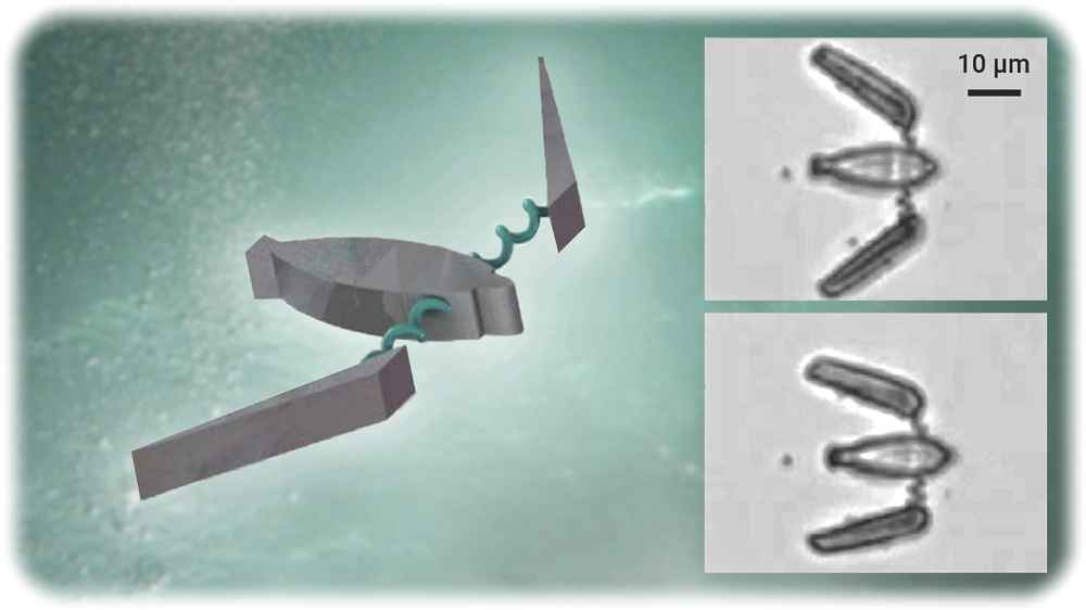 "Mikropinguin" mit Pikonewton-Flossen schwimmt durch eine Flüssigkeit. Visualisierung: Jacob Müller für die TUC, Mikroskopie-Bilder: aus: Nature Nanotechnology